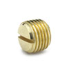 6243-parker-brass-fitting_slotted-head_plug_220P