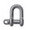 7217-drop-forged-shackle-screw-pin-chain-usa